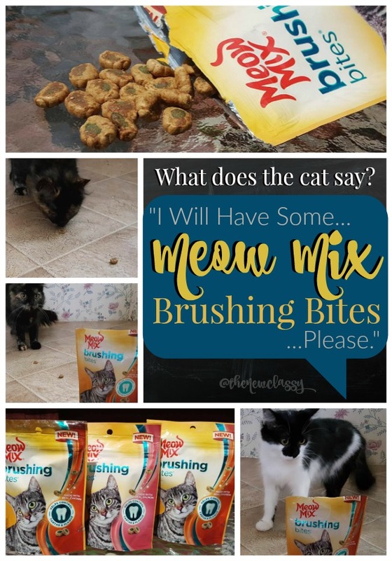 Care For Your Cat's Teeth With Meow Mix Brushing Bites #sponsored