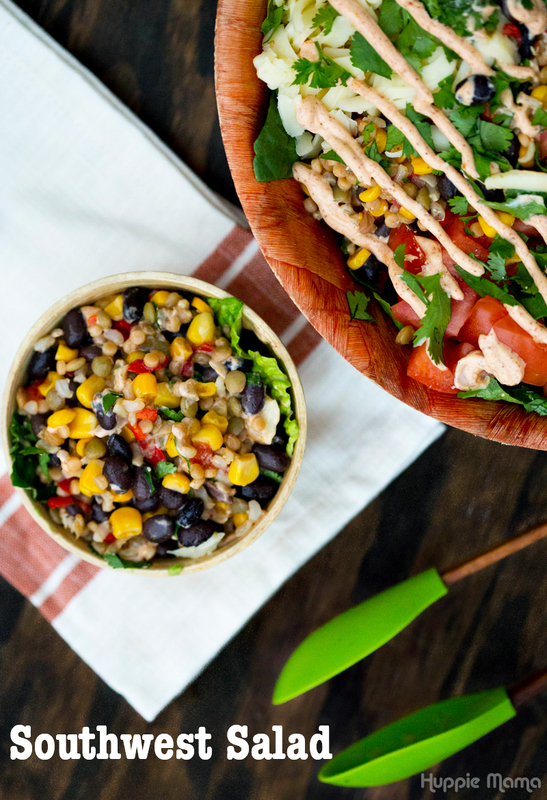 Simple Southwest Salad Our Potluck Family
