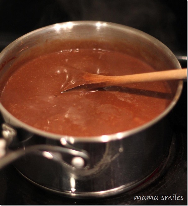 Delicious dairy free chocolate pudding recipe Delicious cashew milk chocolate pudding recipe