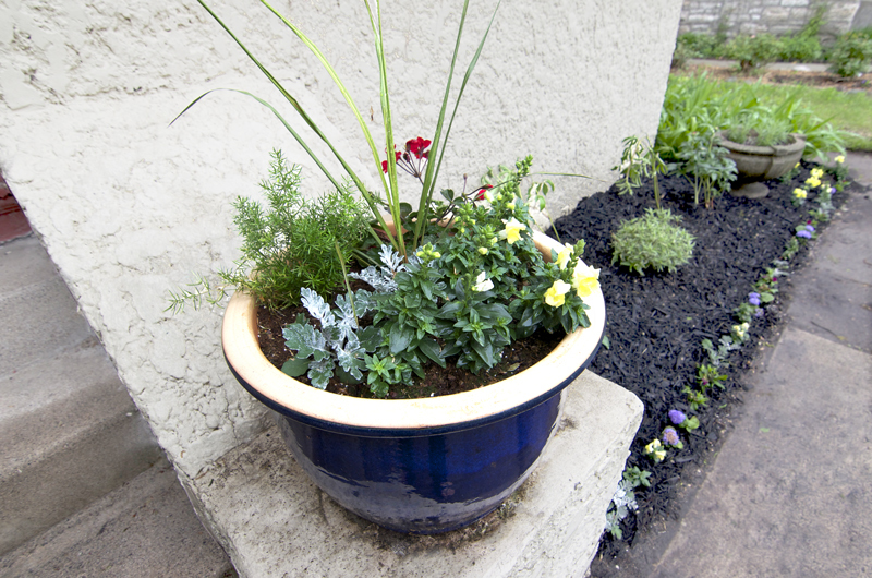 Window box with flowers