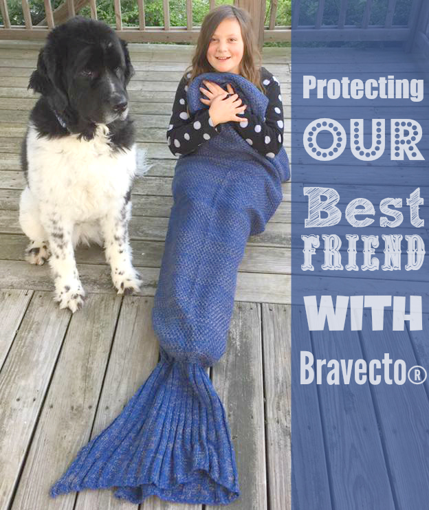 Protecting Our Best Friend With Bravecto