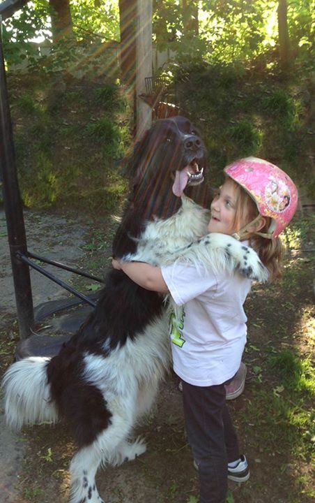Protecting Our Best Friend With BRAVECTO® #12Bravecto