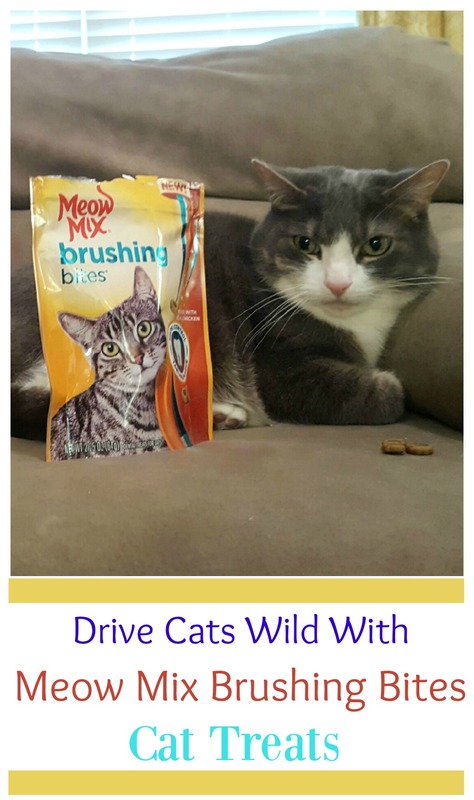 Want to protect your cats teeth from tartar & decay? Learn how you can while spoiling your cat with Meow Mix Brushing Bites Cat Treats here! 